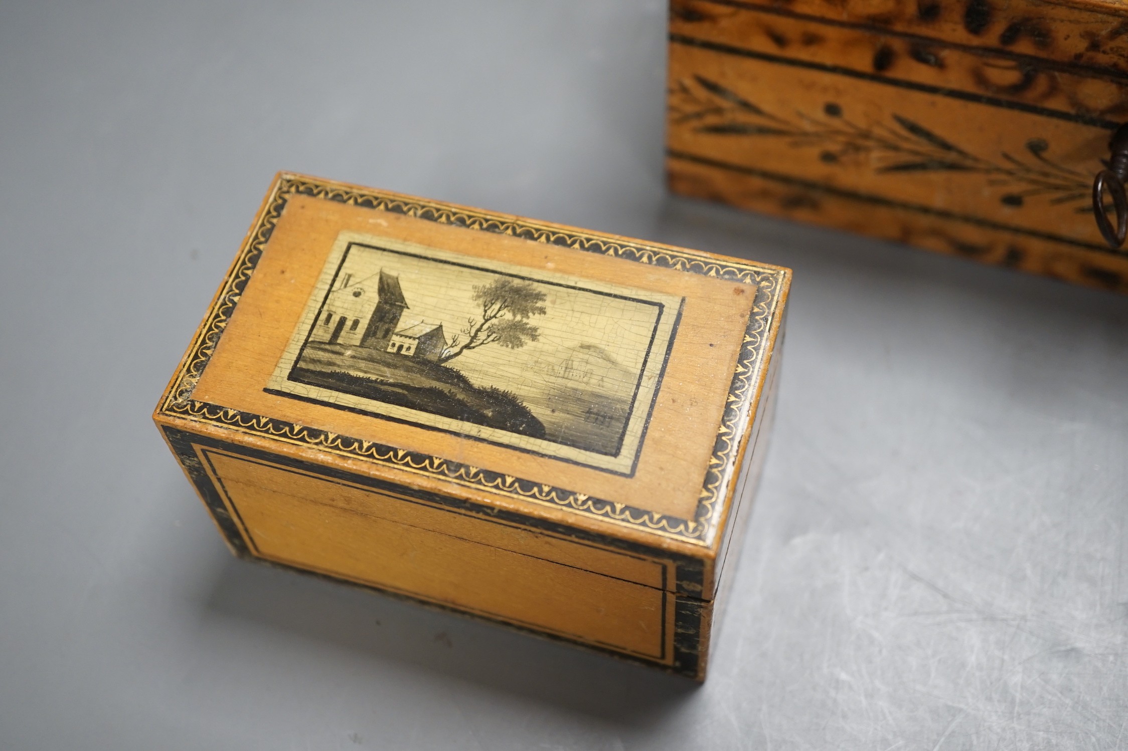 A selection of treen boxes, to include a house shaped money box, 13cm high, a 19th century ash? dome top tea caddy, with ivory finial to the cover (5)